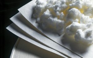 Fabricación de celulosa sigue liderando exportaciones en Los Ríos: China recibe el 84%