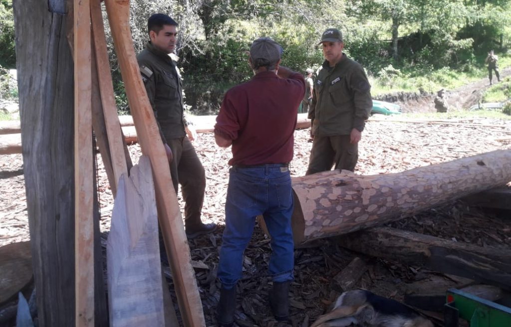 Carabineros busca a niño de 12 años que desapareció en zona cordillerana de Panguipulli