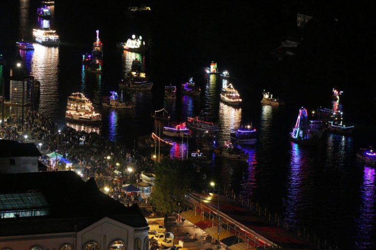 Featured image of post Fotos De Rios De Noche Marinas que viven en el mar acu ticas que viven en estanques y r os de agua dulce y terrestres que viven en la tierra