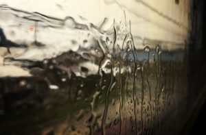 Alerta Temprana Preventiva: Pronostican nuevas precipitaciones, viento y nevadas en Los Ríos