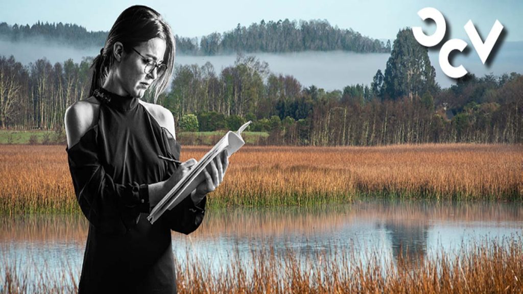 Orquesta de Cámara de Valdivia presentará "Violinistas Compositores" con destacadas obras