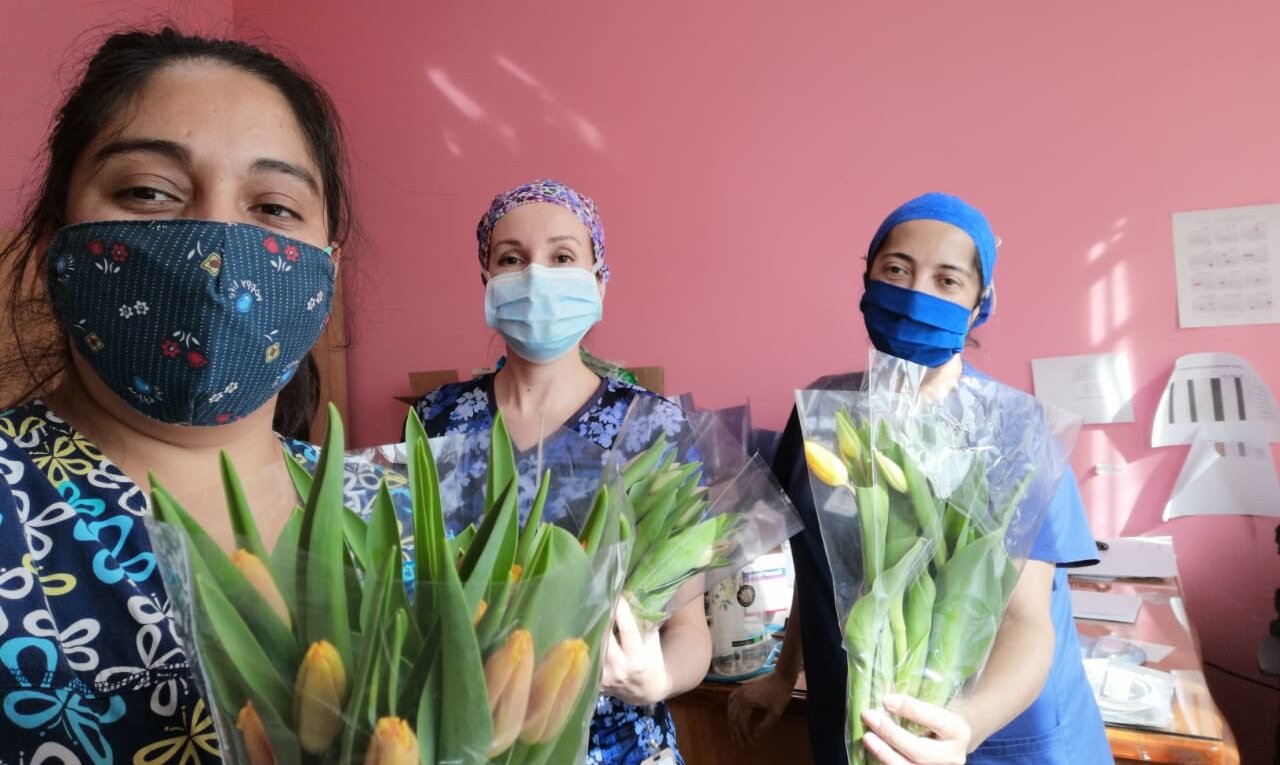 Embajada de Holanda homenajeó con tulipanes a funcionarios del Hospital de Valdivia