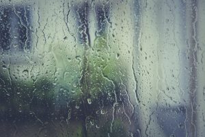 SENAPRED declara Alerta Temprana Preventiva por precipitaciones y viento en Los Ríos