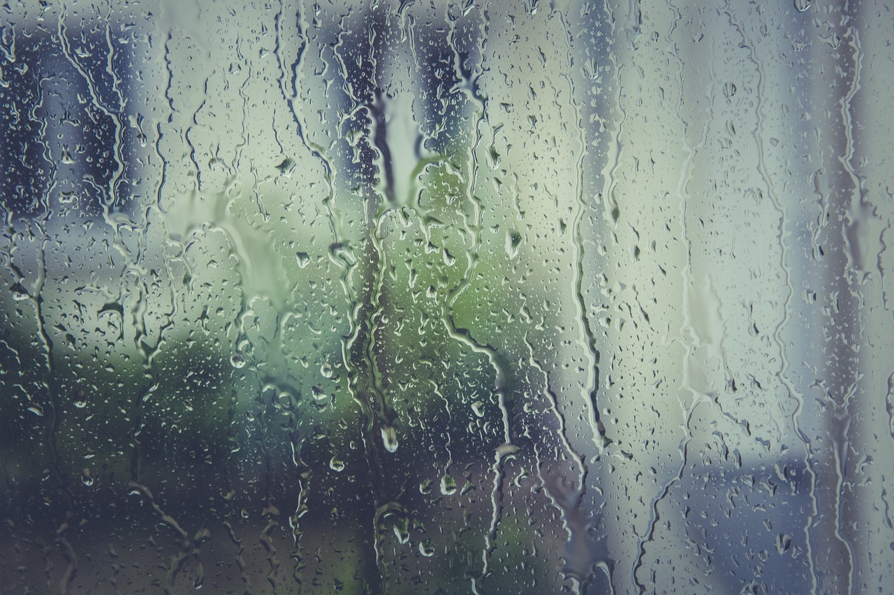 SENAPRED declara Alerta Temprana Preventiva por precipitaciones y viento en Los Ríos