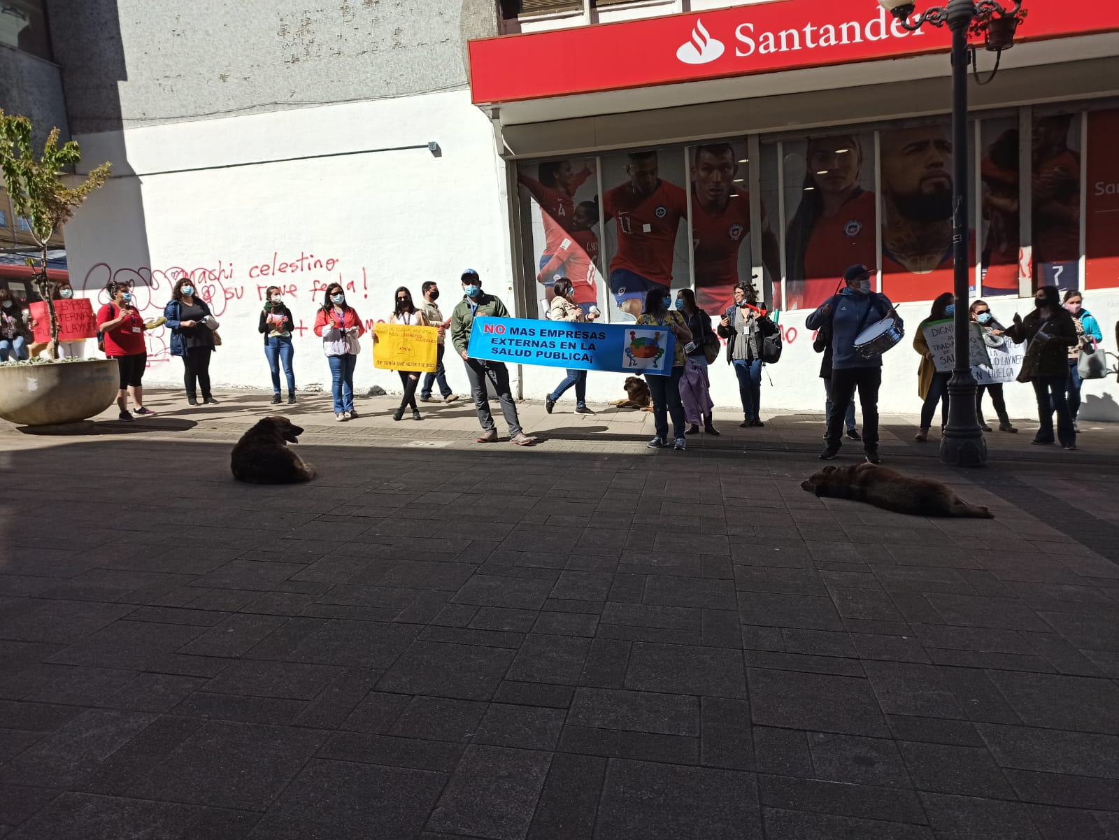 Valdivia: Funcionarios de Layner rechazaron propuesta de la empresa y exigen mejoras laborales