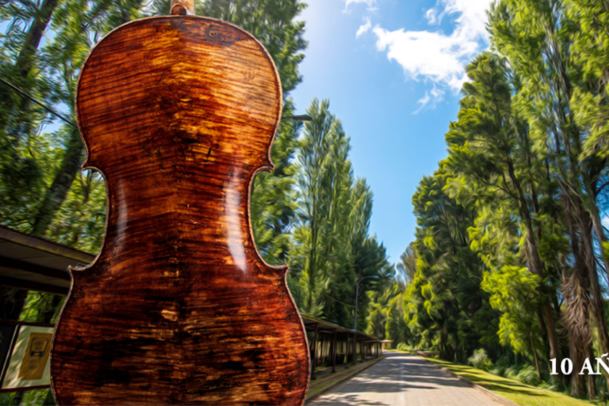 "Virtuosismo Barroco": Este sábado la Orquesta de Cámara de Valdivia tendrá concierto online y gratuito