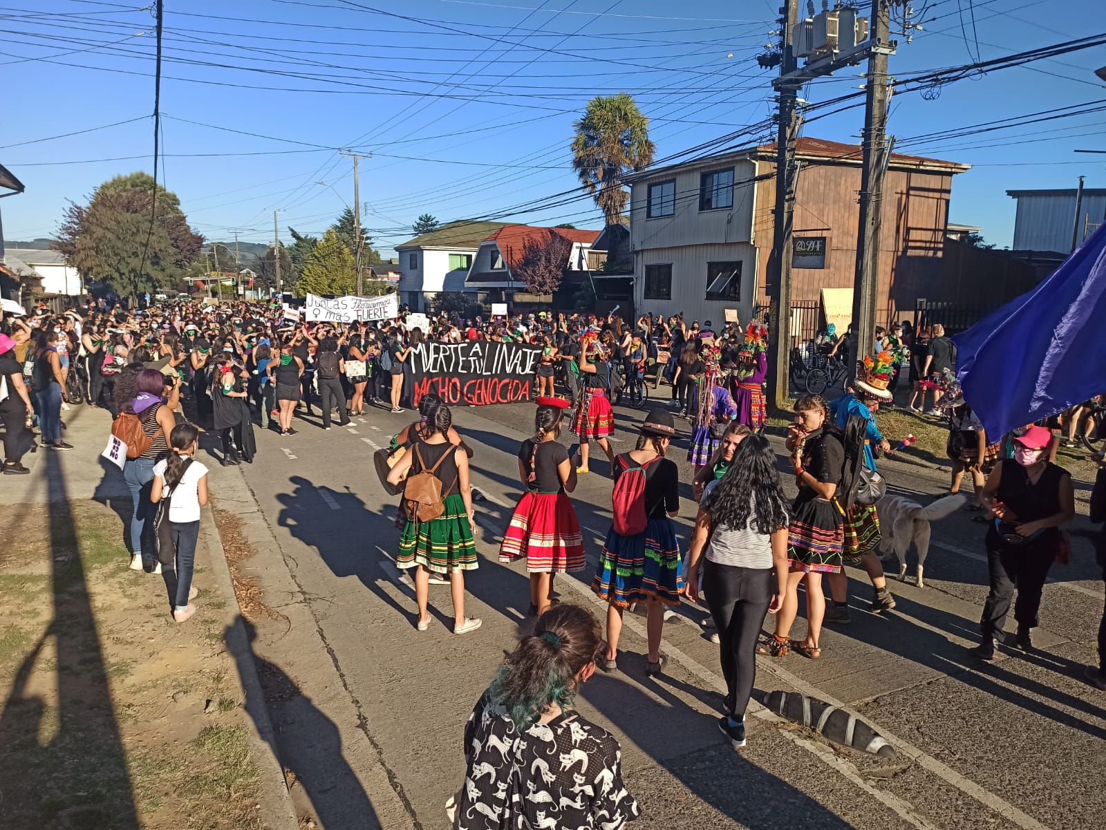Cientos de personas marcharon en Valdivia por el Día Internacional de la Mujer