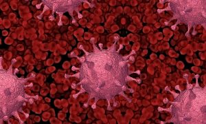Más de 300 nuevos contagios de Covid-19 se suman en Los Ríos y activos sobrepasan los 800