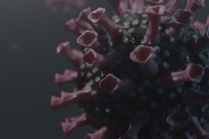 Se detectaron 134 casos nuevos de Coronavirus en Los Ríos y 691 contagios activos