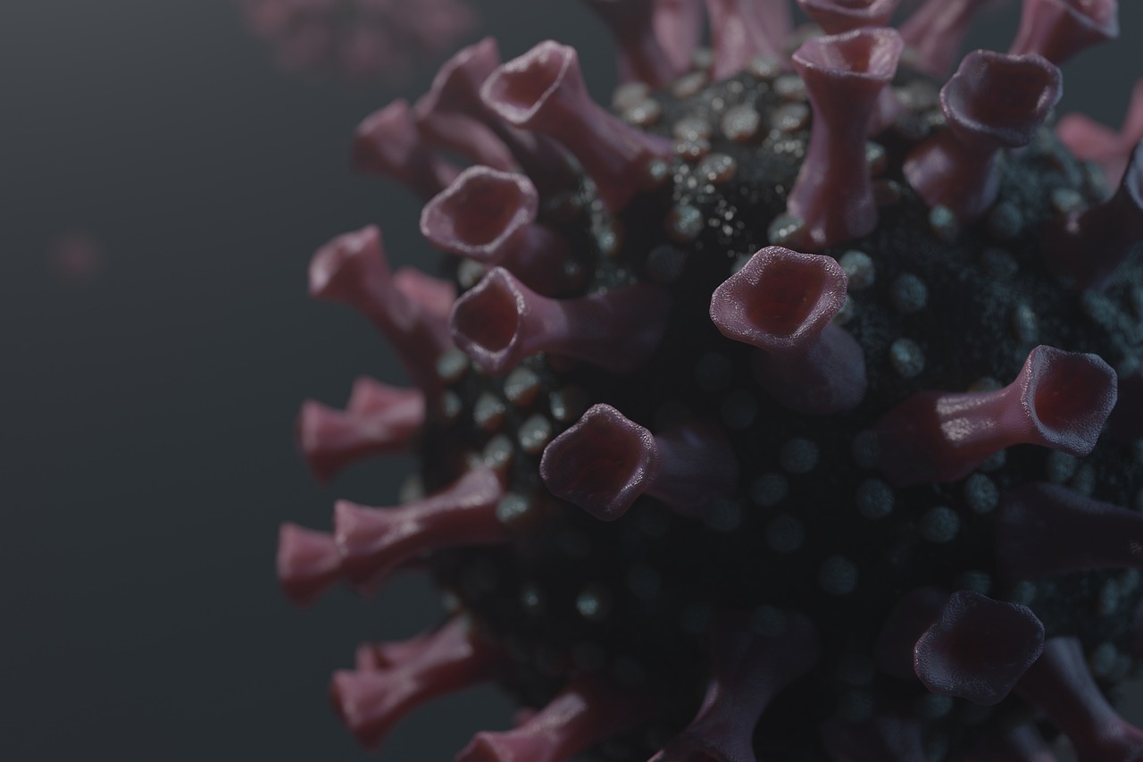 Se detectaron 134 casos nuevos de Coronavirus en Los Ríos y 691 contagios activos