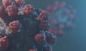 Los Ríos registró 236 casos nunevos de Coronavirus: Valdivia acumula mayor cantidad de activos