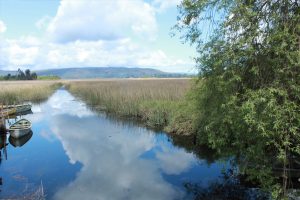Humedales Angachilla y Llancahue fueron oficializados como nuevos santuarios de la naturaleza