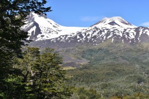 Los Ríos y Los Lagos se unen para fortalecer la Biosfera de Bosques Templados Lluviosos de los Andes Australes
