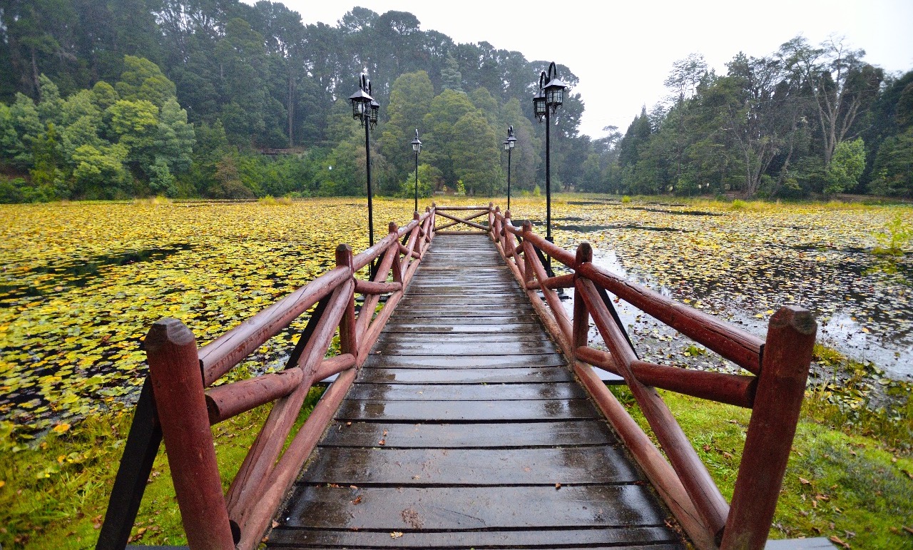 Parque Saval de Valdivia será sometido a remodelación en zonas de picnic y juegos