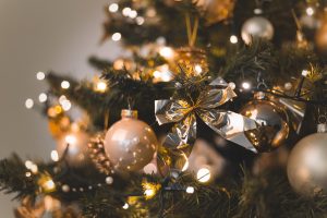 Con cantautora nacional y coros locales encenderán el tradicional árbol de Navidad en Valdivia