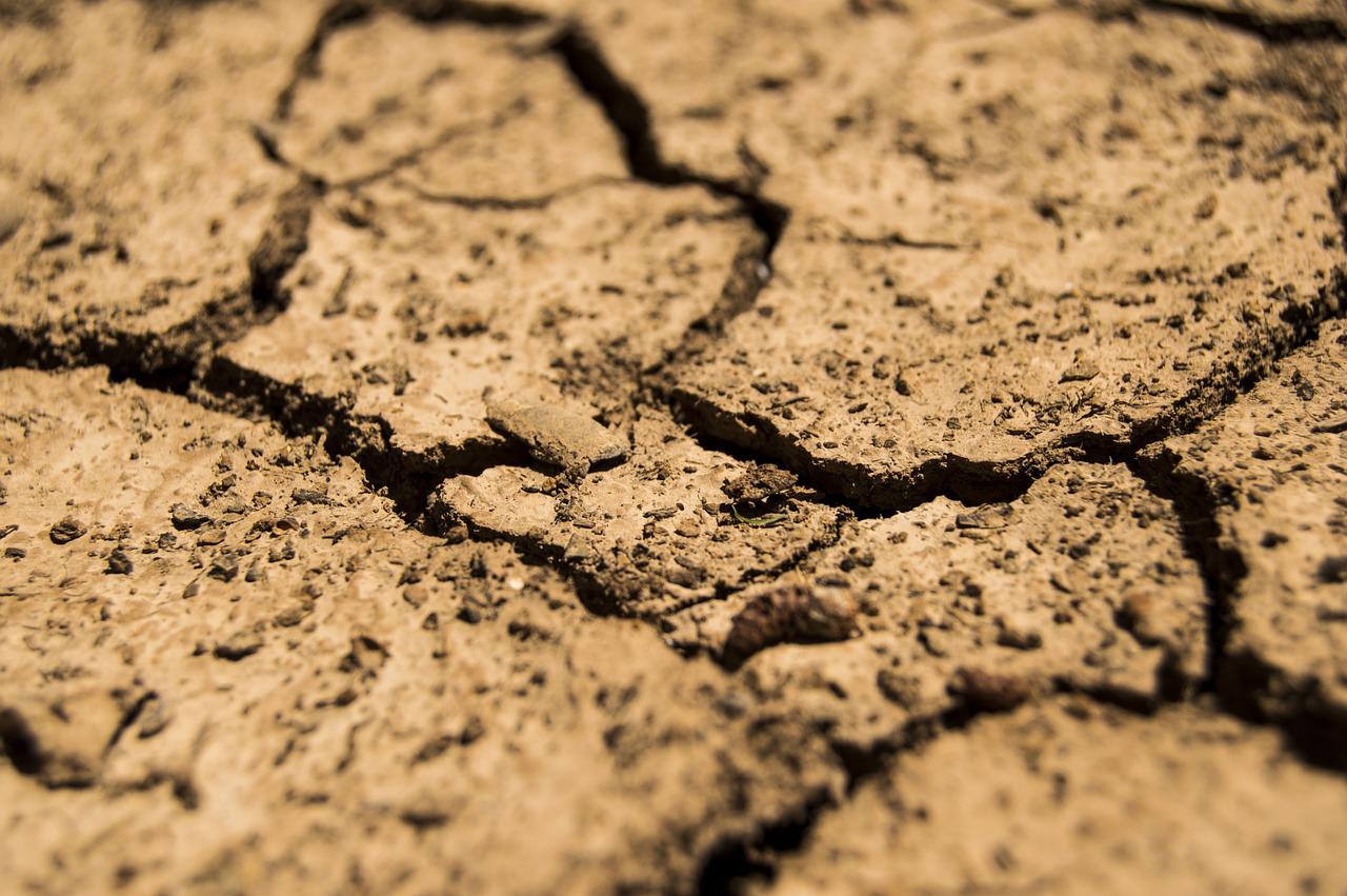 Crean mesa para apoyar a agricultores de Paillaco frente a alza de insumos y crisis hídrica