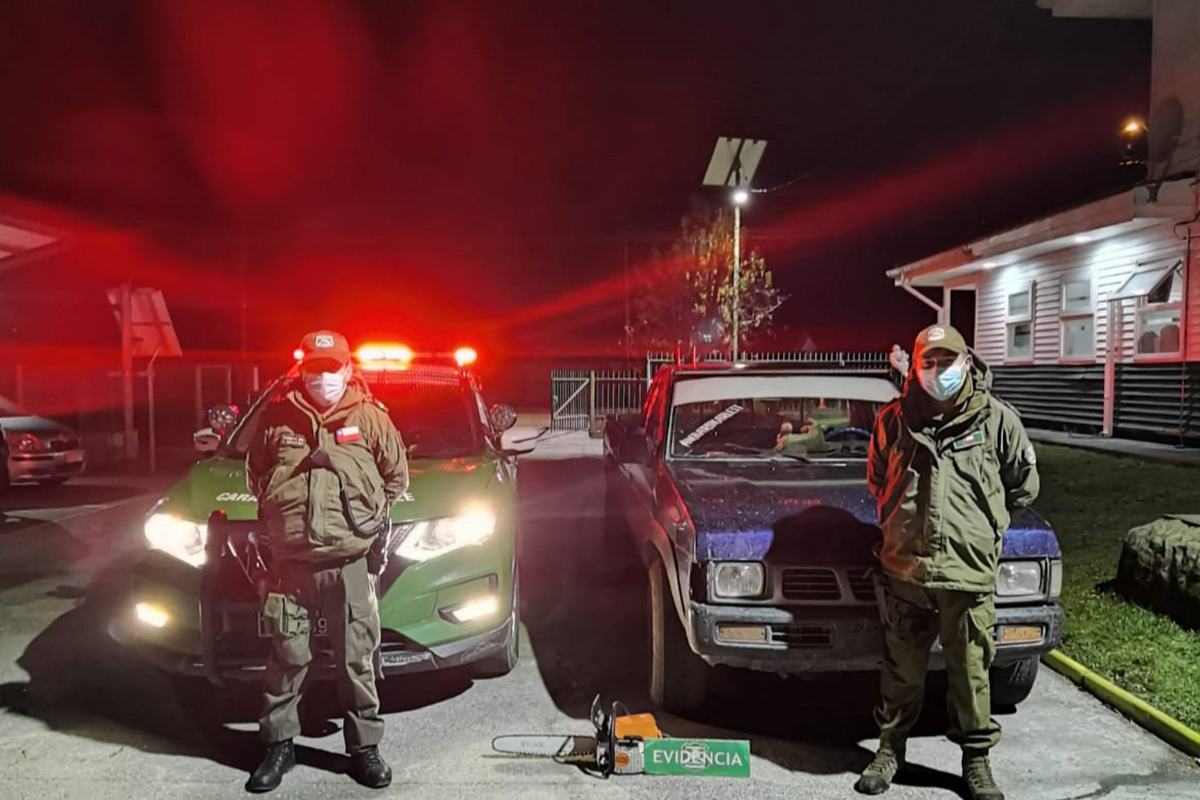 En Neltume detuvieron a tres individuos por hurto de madera