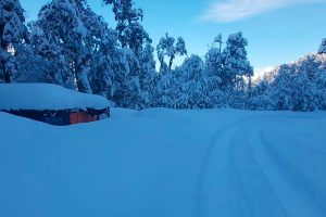 Cerrarán nuevamente la Reserva Mocho Choshuenco y Parque Nacional Villarrica por nevadas
