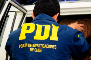 Avalúo es de $13 millones: Detienen a dos individuos por robo de madera en Valdivia