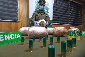 Maleta abandonada en terminal de Valdivia tenía más de 8 kilos de droga y cartuchos de escopeta