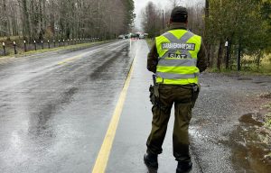 SIAT investiga: Peatón falleció tras ser atropellado en una ruta de Panguipulli