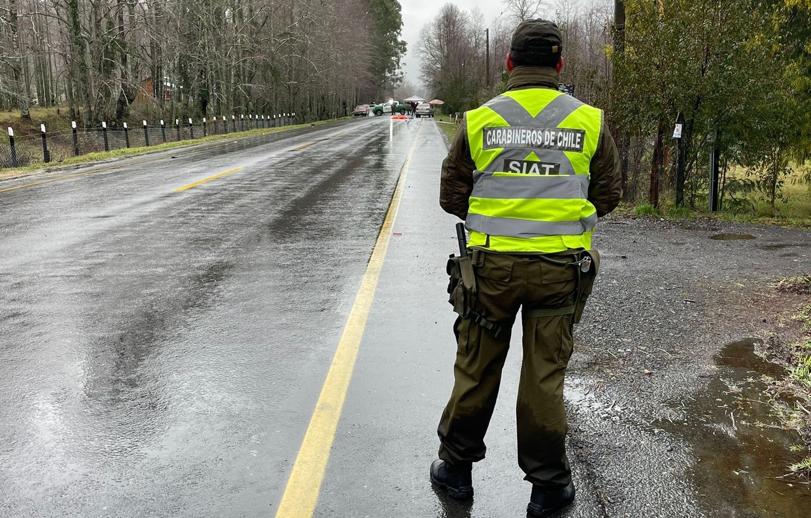 SIAT investiga: Peatón falleció tras ser atropellado en una ruta de Panguipulli