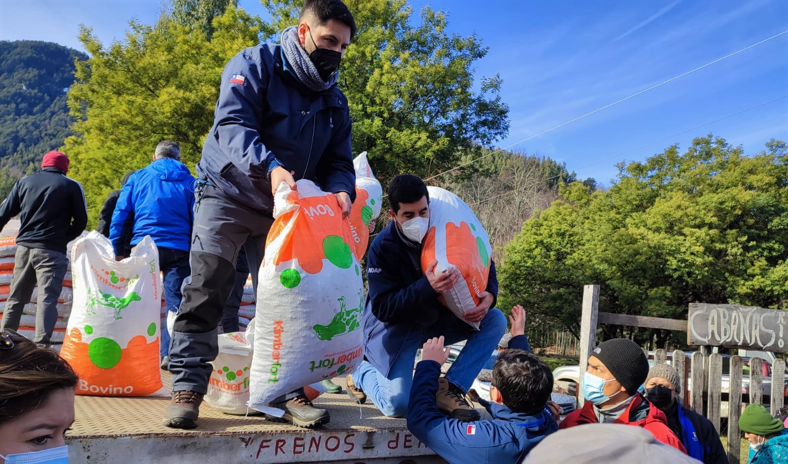 Distribuyen 20 toneladas de alimento para animales afectados por intensas nevadas en Panguipulli