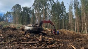 Delegación Presidencial presentó querella por atentado incendiario en Máfil