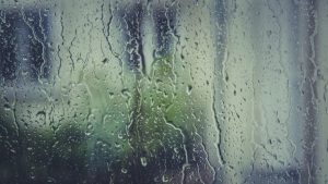 Hasta 65 milímetros de agua en un día: Alerta Temprana Preventiva por sistema frontal en Los Ríos