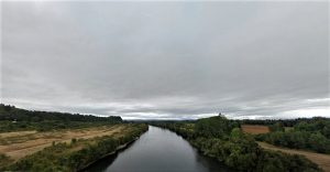 Abren licitación de estudio para elaborar normas secundarias en la cuenca del Río Bueno