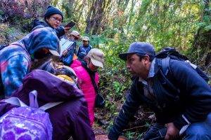 Reserva Costera Valdiviana reabre sus puertas al público desde esta semana