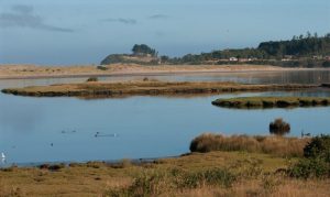 Plan Regulador del Borde Costero de Los Ríos inicia su fase de evaluación ambiental