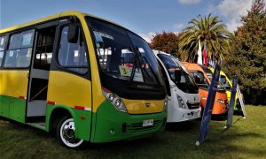 Revisa todos los recorridos de transporte gratuito para el Plebiscito Constitucional en Los Ríos