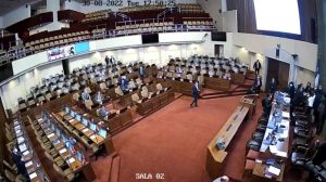 Senador Flores plantea inhabilitar al Diputado Gonzalo de la Carrera tras agresión