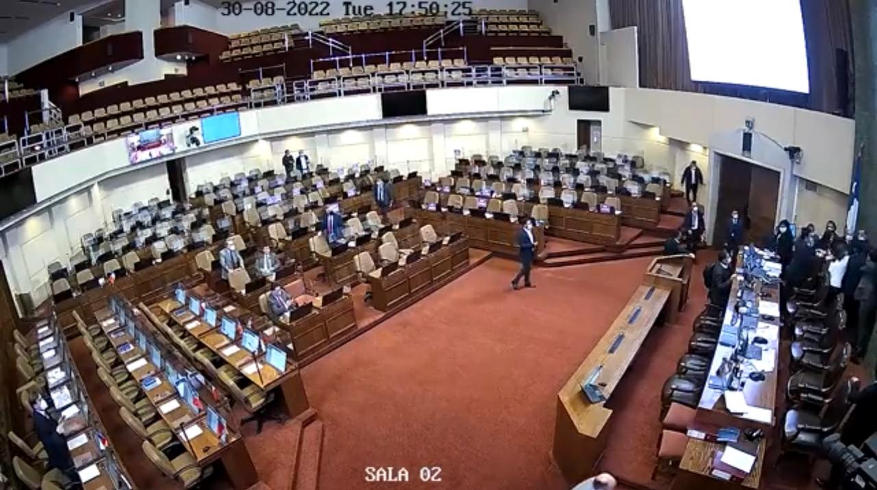 Senador Flores plantea inhabilitar al Diputado Gonzalo de la Carrera tras agresión