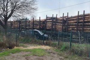 Vehículo chocó contra un tren de carga en Paillaco dejando un lesionado grave