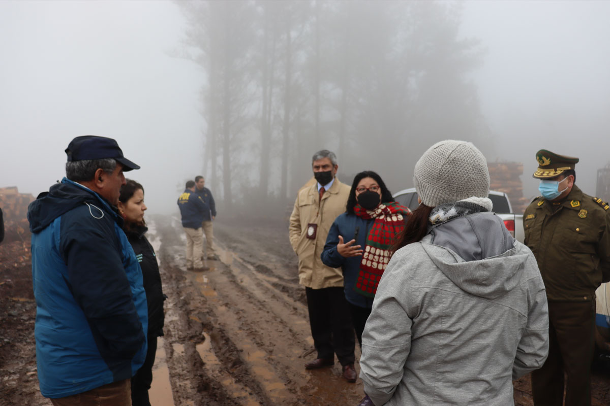 Tras nuevo ataque incendiario en Valdivia: Gobierno se querellará por el delito de incendio