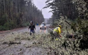 Intensas lluvias y vientos han provocado caídas de árboles y cortes de luz en Los Ríos
