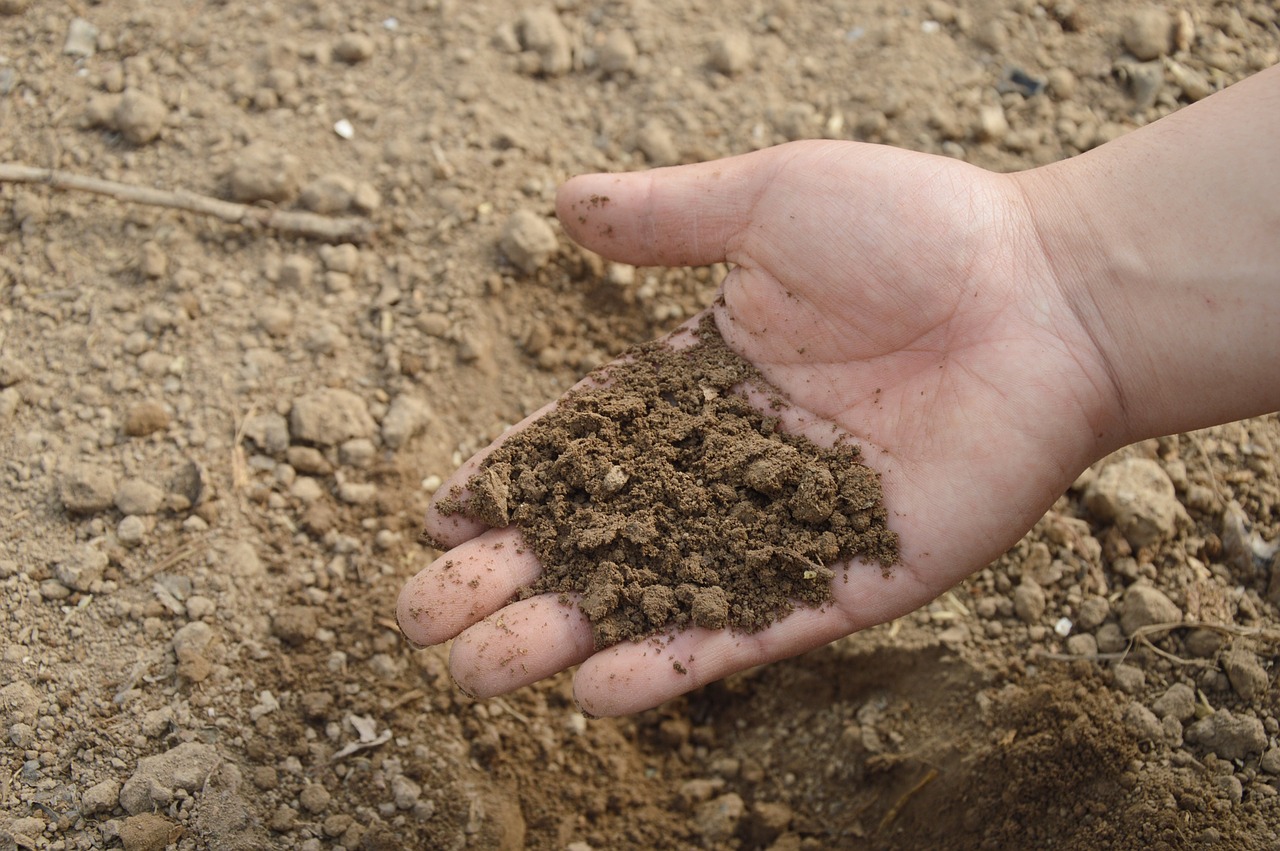 Invertirán más de $800 millones en fertilizantes para apoyar a agricultores de Los Ríos