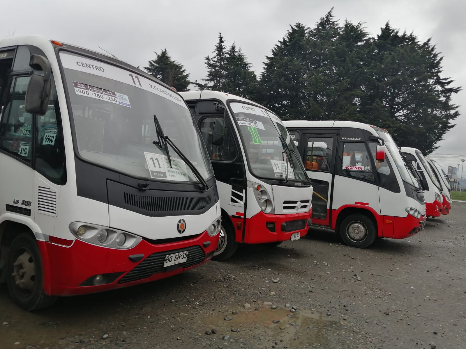 Tras movilización: Línea 11 de Valdivia volverá a sistema de “sorteos” para salidas