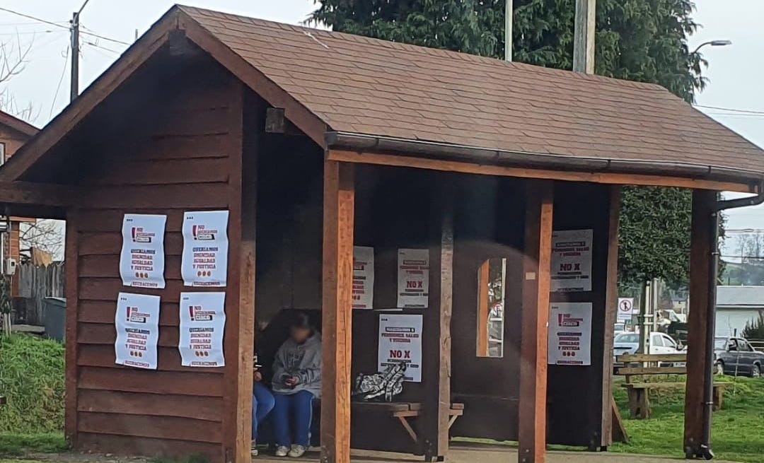 Municipio de Lago Ranco retira propaganda en lugares no habilitados: SERVEL no ha recibido denuncias