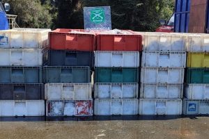 Cerca de 3 mil kilos de productos del mar fueron incautados en La Unión