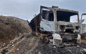 Confirman ataque incendiario a predio forestal en Lanco