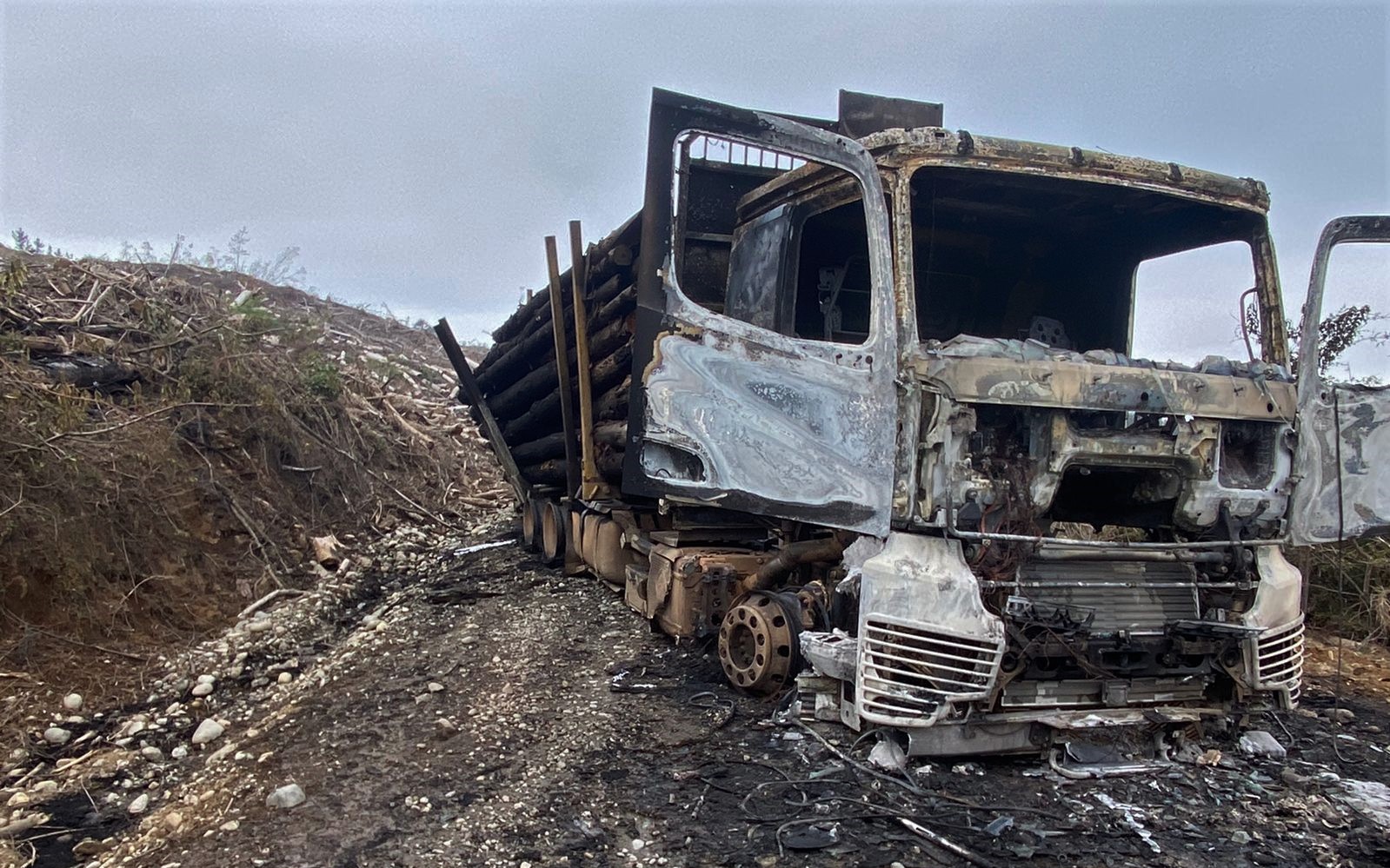 Confirman ataque incendiario a predio forestal en Lanco