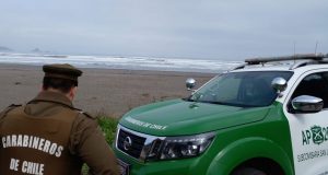 Investigan el hallazgo del cuerpo de un hombre en una playa de Mehuín