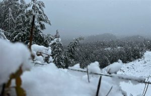Alerta por fuertes nevadas en la Región de Los Ríos: Caerían hasta 80 centímetros de nieve