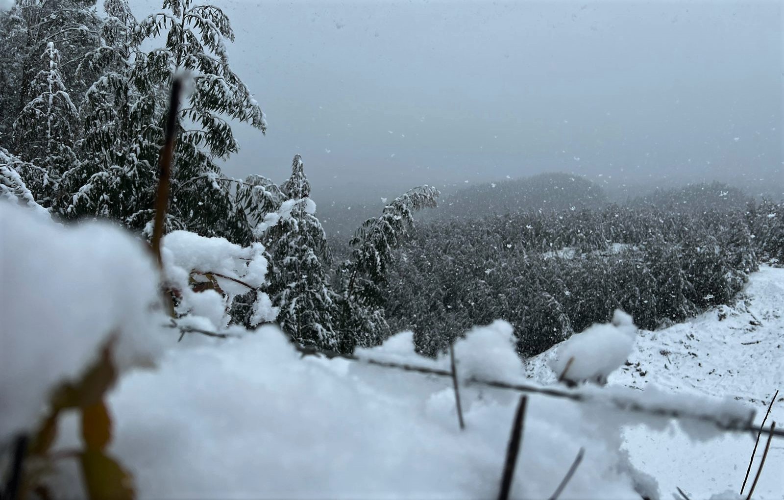 Alerta por fuertes nevadas en la Región de Los Ríos: Caerían hasta 80 centímetros de nieve