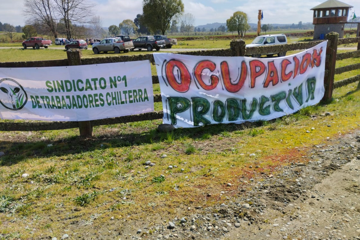 “Ocupación productiva”: Comunidades mapuche y sindicato de Chilterra se toman fundo en Paillaco
