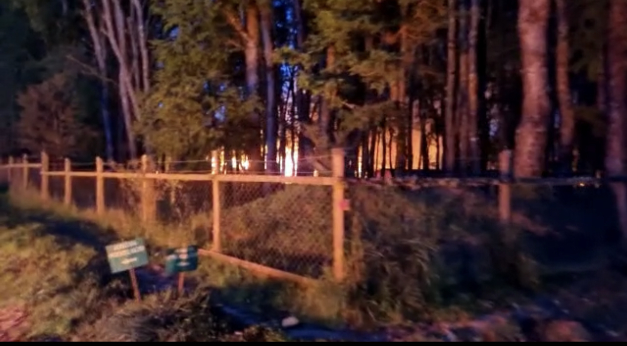 Grupo armado protagoniza ataque incendiario a Forestal Arauco en La Unión