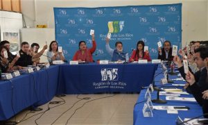 Solicitudes de concesiones marítimas no ven la luz en Comisión de Uso de Borde Costero de Los Ríos